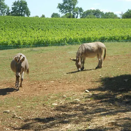 خيمة فخمة Domaine Des Calosses