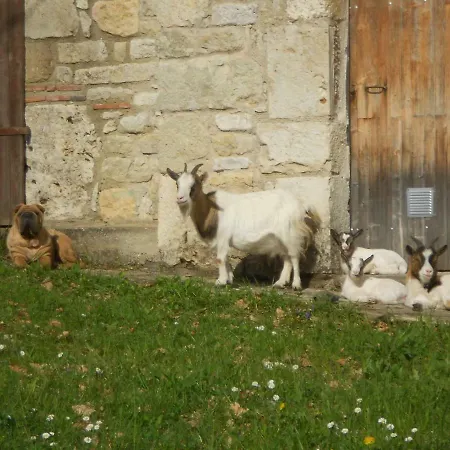 خيمة فخمة Domaine Des Calosses